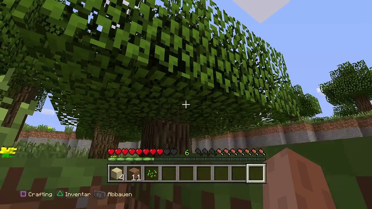 Minecraft: PlayStation®4 Edition_20150425144847