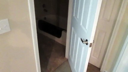 Regardez donc comment Mulder le chat parvient a ouvrir les portes