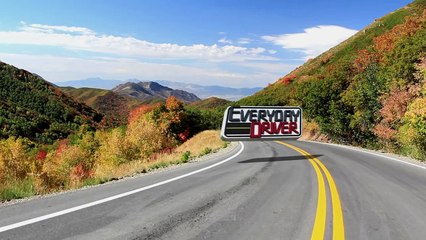 Fiesta ST or GTI, which is better on the track? -- Everyday Driver