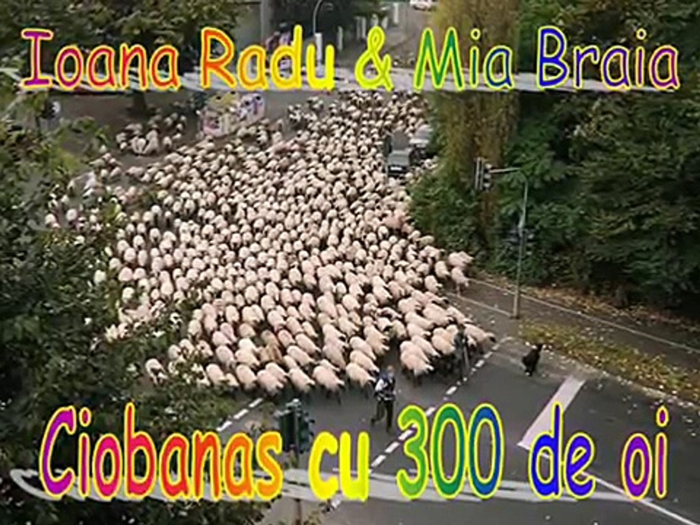 Skifte tøj Bloodstained Dekoration Ioana Radu & Mia Braia - Ciobanas cu 300 de oi.wmv - video Dailymotion