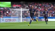 Goal Edinson Cavani - PSG 2-0 Lille - 25-04-2015