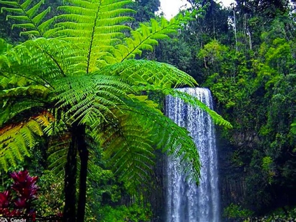 Güzel İlahi Gül Bahçesi