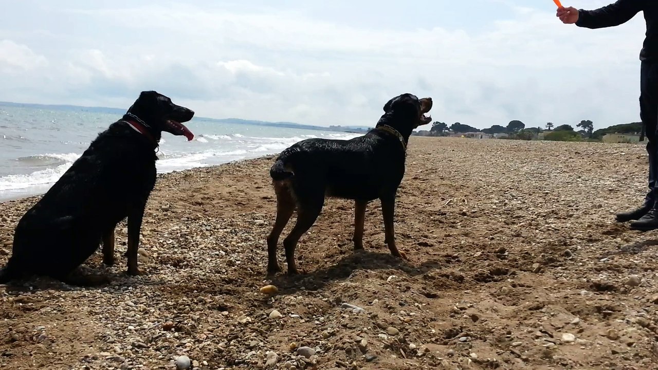 20150425 PLAGE AVRIL1