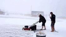 Icelandic summer... Let's mow the lawn!