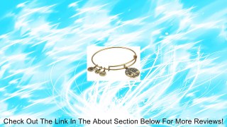 Alex and Ani Women's Tree of Life Charm Bangle Rafaelian Bangle Bracelet One Size Review