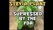 Stevia Sweeteners - Supressed by FDA