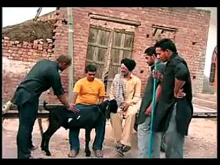 ਮੈਂ ਬੋਲਣਾ ਹੀ ਨਹੀਂ ਬਸ