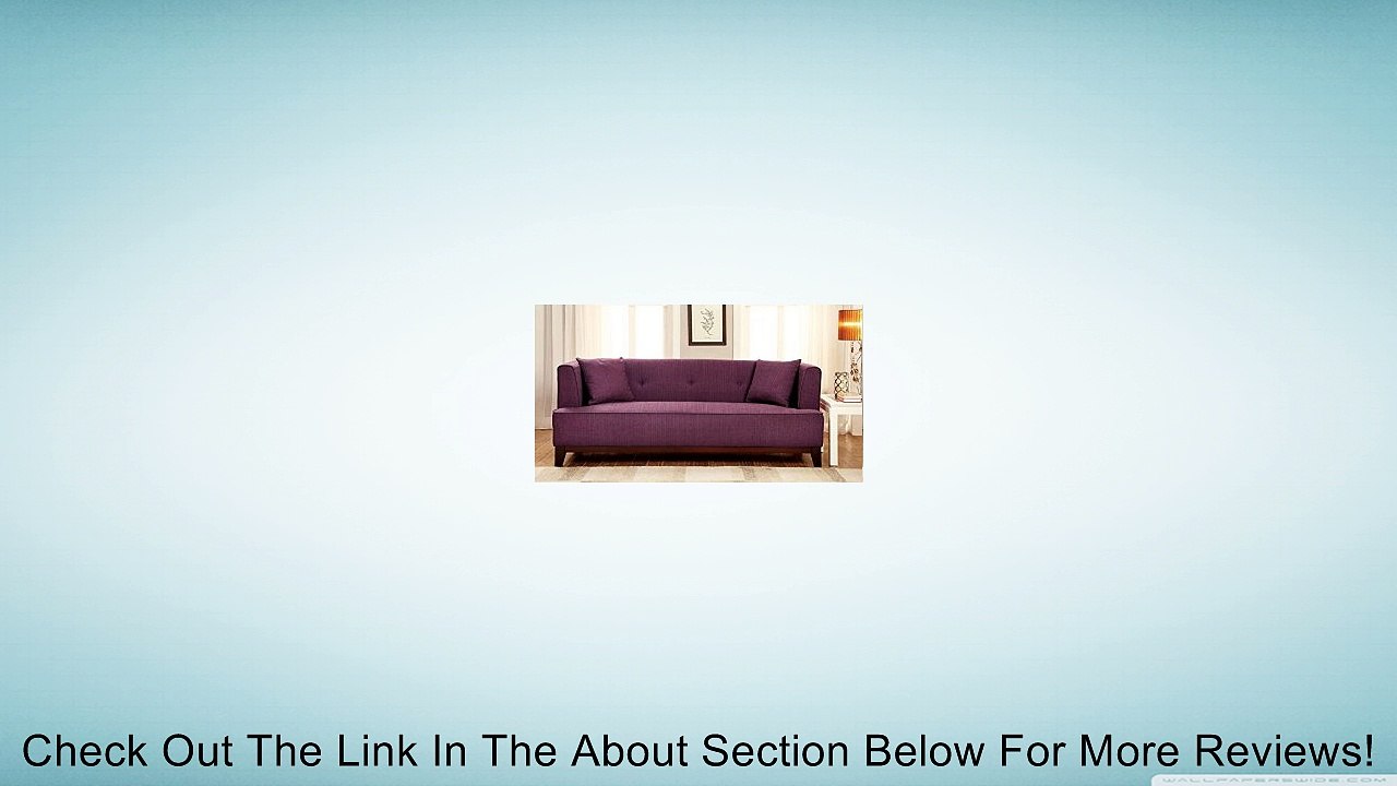 Furniture of America Elsa Neo-Retro Sofa, Purple Review