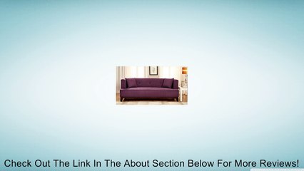 Furniture of America Elsa Neo-Retro Sofa, Purple Review