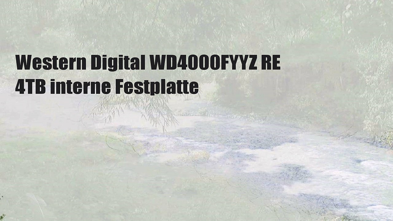 Western Digital WD4000FYYZ RE 4TB interne Festplatte