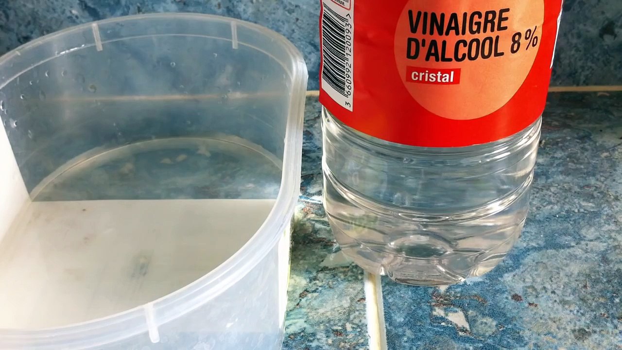 Nettoyer ses joints de carrelage - Astuce salle de bain: Laver les joints de carrelage