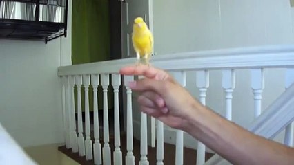 KARAPÜRÇEK DEMİRDÖKÜM KOMBİ SERVİSİ -  (0312) 279 15 16