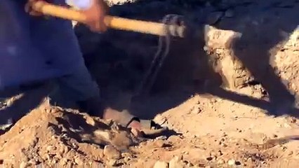 Zahi Hawass - The Search for Antony and Cleopatra