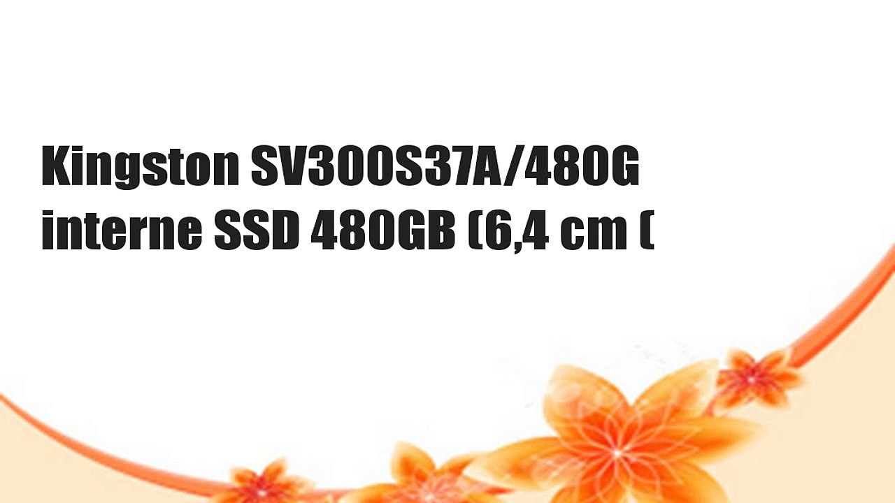 Kingston SV300S37A/480G interne SSD 480GB (6,4 cm (