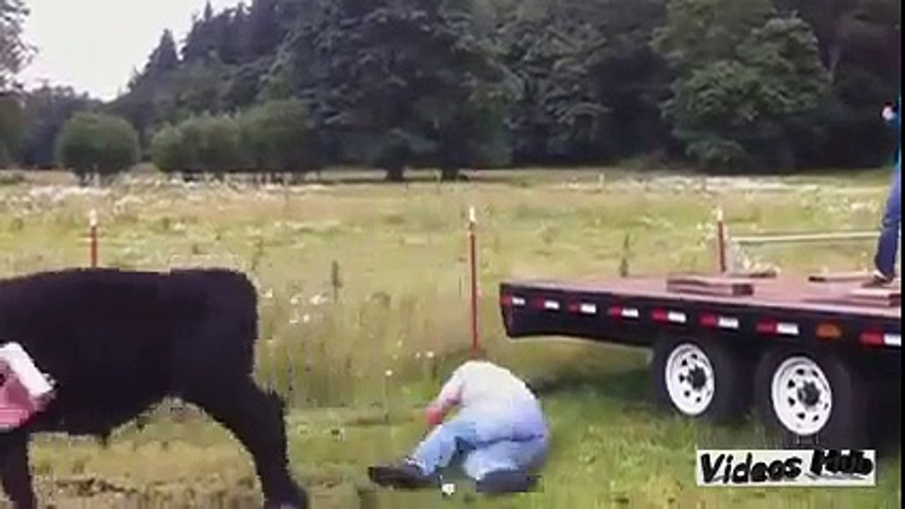 Magari Prikolebi | Best Funny Moments | Funny Pranks