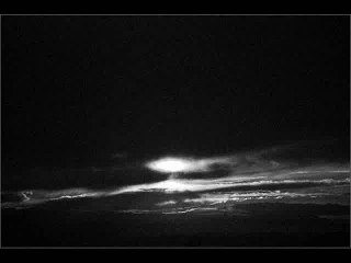 Umbrella-cover by Alan