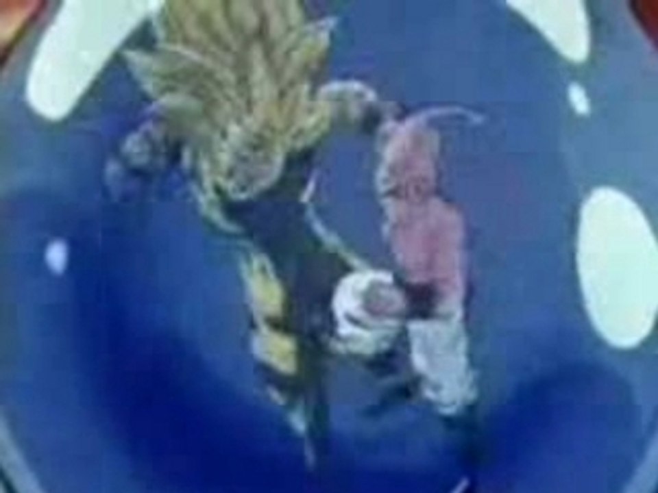 to be continued et dbz