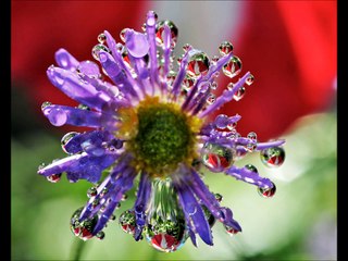 Relaxing Music For Studying, Piano Music, Peaceful Tunes