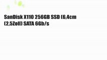 SanDisk X110 256GB SSD (6,4cm (2,5Zoll) SATA 6Gb/s