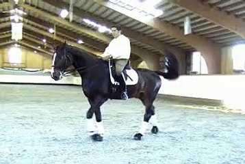 Cesar Parra on the Stages of the Training Pyramid