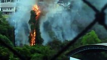 Incêndio atinge Parque da Fazendinha em Jardim Camburi, em Vitória