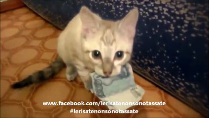 Questi sono i miei soldi!...