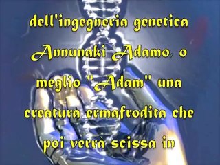 ANNUNAKI - L'altra storia dell' Umanità