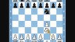 Chess Traps- Bird's Eye View