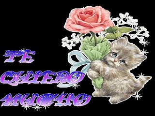 Marco Antonio Solis- Quiereme