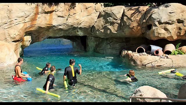 Discovery Cove marine animals dolphins and discounts the hours