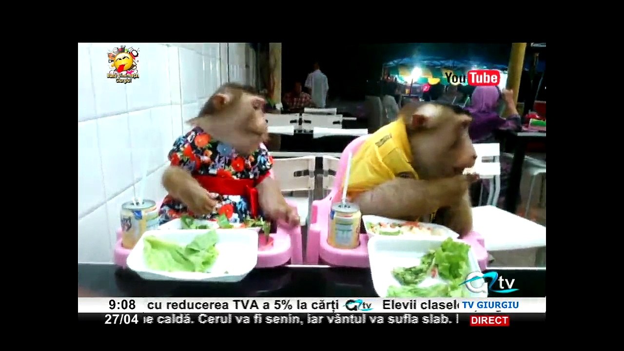 27 APRILIE BUNA DIMINEATA GIURGIU