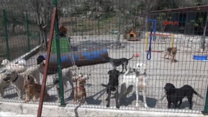 Marmaris - Can Dostlara Destek İçin Parti