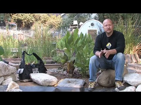 Pond Skimmer Installation - How to