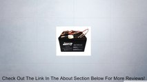 Razor E200/300 Electric Scooter Battery E200 (V13 ) E300 (V11 & V13 ) - W13112430185 Replacement Battery Includes Wiring Harness Beiter DC Power� Review