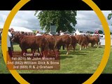 British Limousin Cattle 2010 Male & Championship Judging at The Royal Highland Show 2010