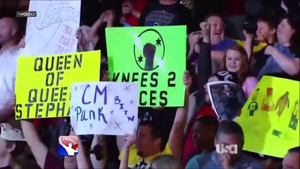 CM Punk (CM Punk) vs Luke Harper (Brodie Lee)