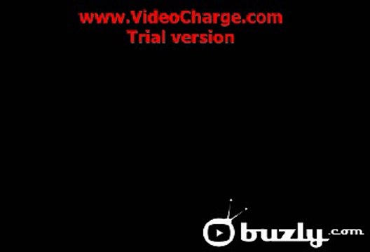 Crazy Frog?syndication=228326