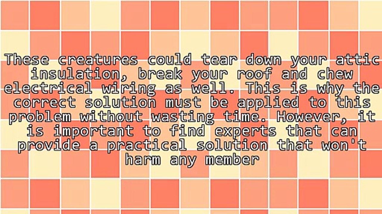 Tips For Hiring A Dependable Animal Removal Company