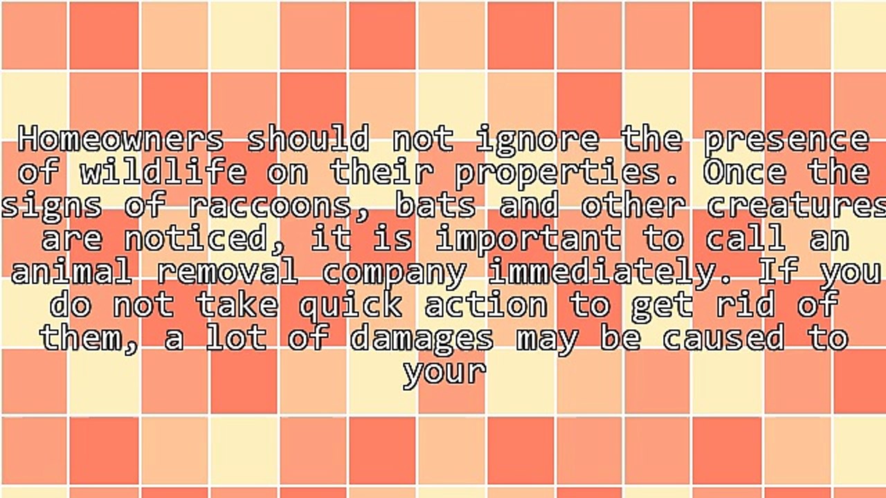 Tips For Hiring A Dependable Animal Removal Company