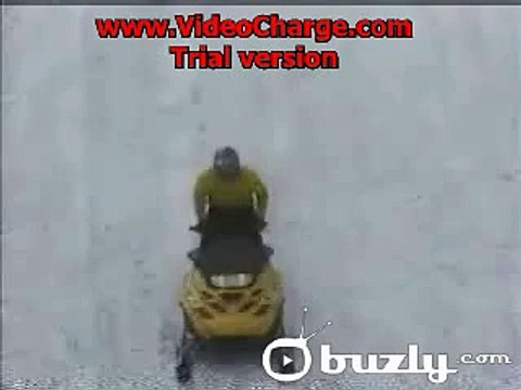 crazy sled?syndication=228326