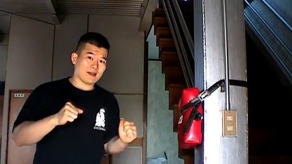 Systema punch (common punch vs Systema Punch)