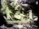 Hiroshima & Nagasaki After the Atomic Bombings: Documentary Film - People, Radiation