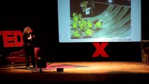 Bringing a New Stem Cell Treatment to Cancer Patients: Dr. Karen Aboody, M.D. at TEDxAJU