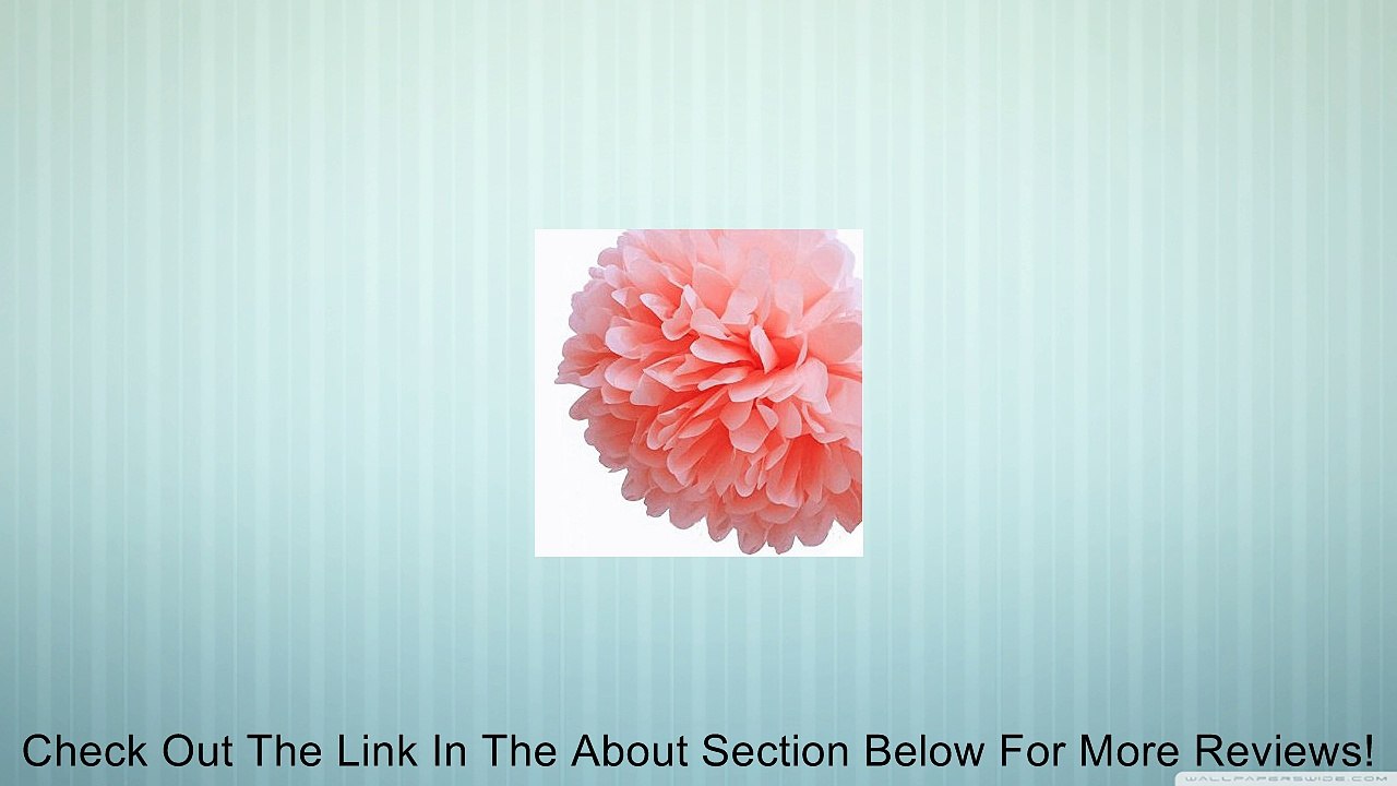 Funnie - 6"-30" Pom Poms in 23 Colors Tissue Paper Flowers For Celebrate Decoration/Party/Wedding Blooms Ball- Fluffy Hanging Lantern (Pack of 4) Review