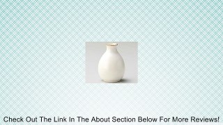 Kobiki 3inch Sake carafe White porcelain Made in Japan Review