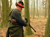 Fürstliche Drückjagd im Burgenland [Drückjagd auf Sauen im Jagdrevier Thiergarten]