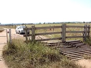 Uma porteira pra lá de automática.