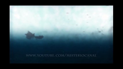 SIRENA REAL GRABADA EN EL FONDO DEL MAR 2013 mermaid real