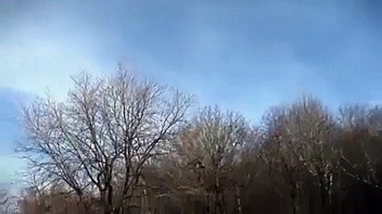 Eagle Tried to Snatch Child