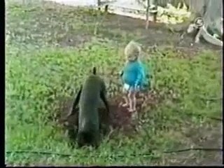 Big Dog Playing With Baby - Funny Videos at Fully :)(: Silly ...